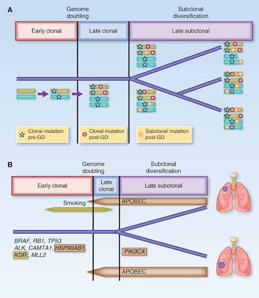 201022 drops abopec jpg