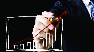 grafico crescimento NET OK