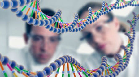 Genomica Personal NET OK