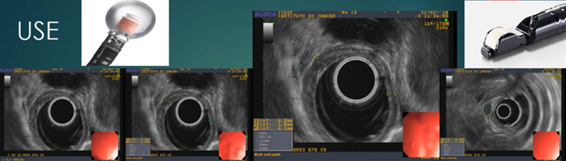 ONIDX GSTI 001 Figura5