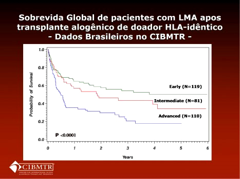 ONIDX HEMA 002 Figura4