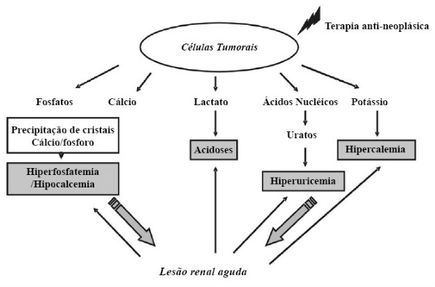 Lise Figura 1 NET OK