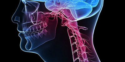 cabeca pescoco NET OK