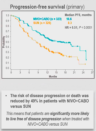 pfs graf checkmate 9er