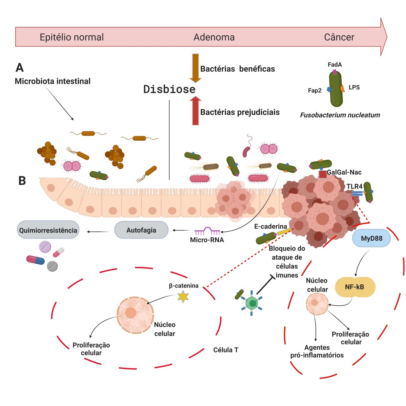 fig.1 microbioma ccr barretos