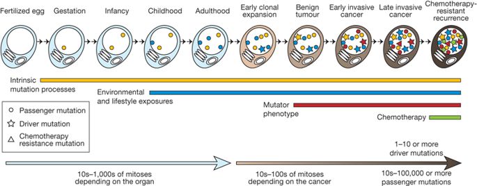 mutacoes somaticas drops
