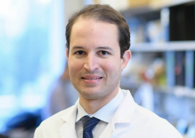 DIOGO BASTOS LACOG GU NEW NET OK