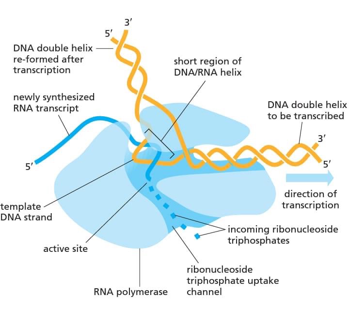 drops agosto 21 2 jpg