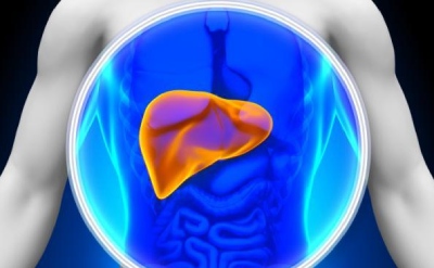 hepatocelular 2021 bx