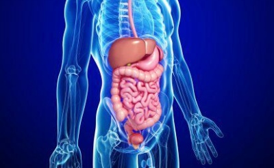 trato gastro 21 2 bx