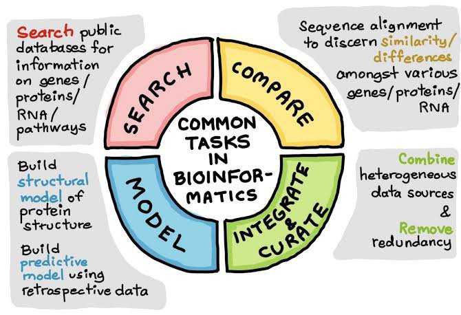 drops bioinformatica bx
