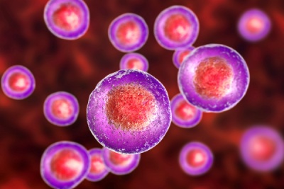 celulas germinativas