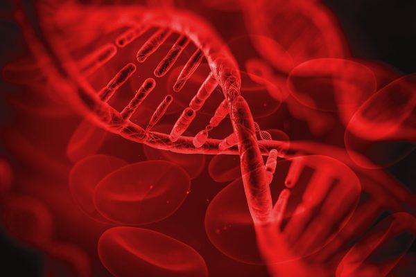 dna sangue