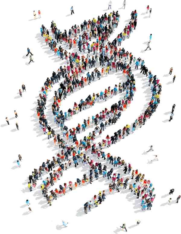 drops genetica populacional