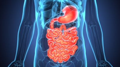 gastrointestinal