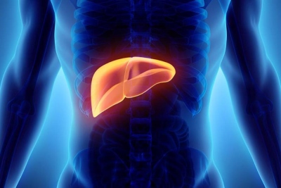 hepato