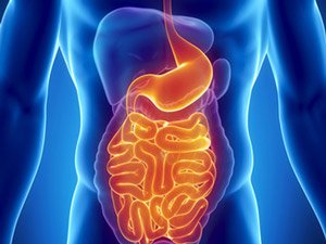 Gastrointestinal Disorders NET OK