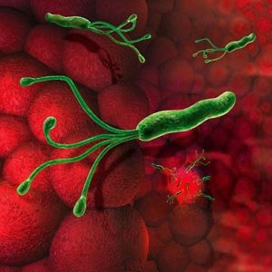 Helicobacter_pylori_RGB_bx.jpg