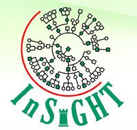 Insight_Net_OK.jpg