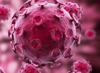 Nota2 Diversos HPV 2 OK