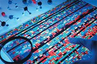 NotasAntigas Sergio Nota2 Teste Gen tico