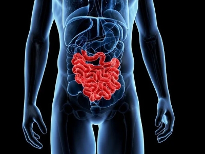 Análise agrupada e perfil genômico do adenocarcinoma do intestino delgado